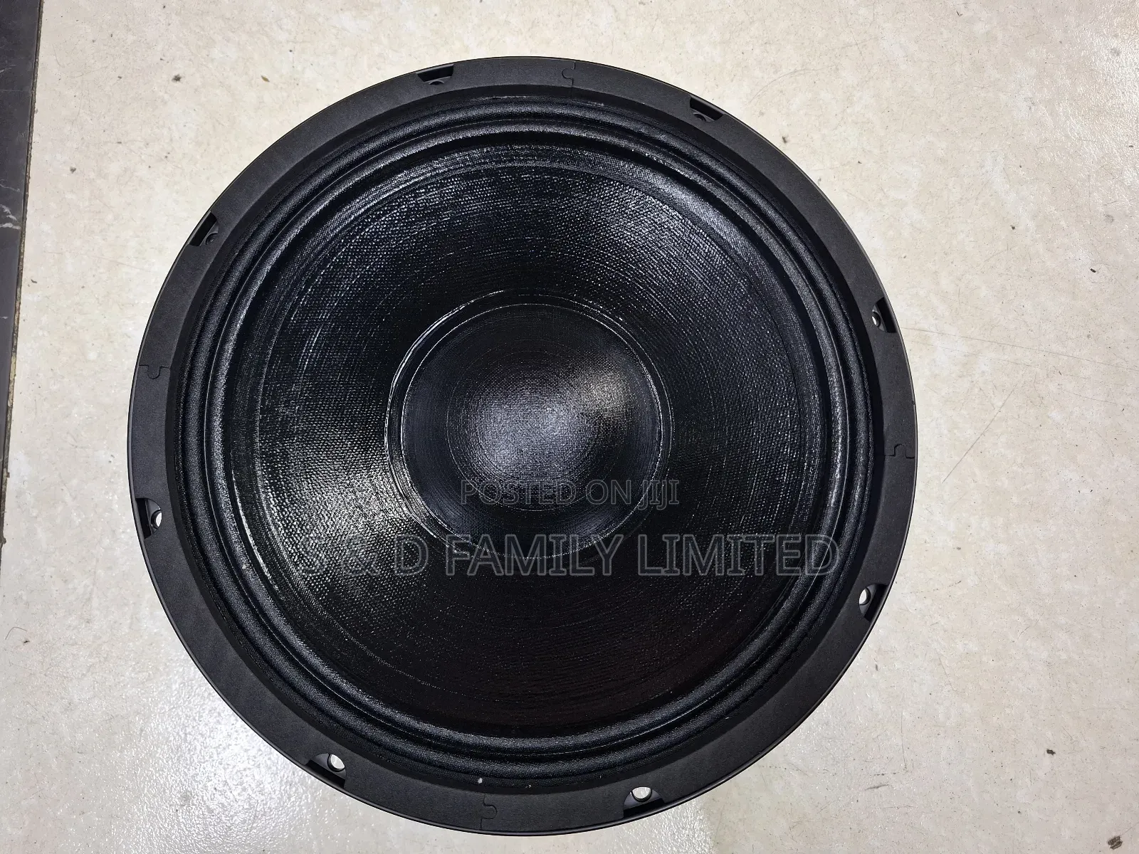 Bm 10BM300H 10 Inch Naked Speaker