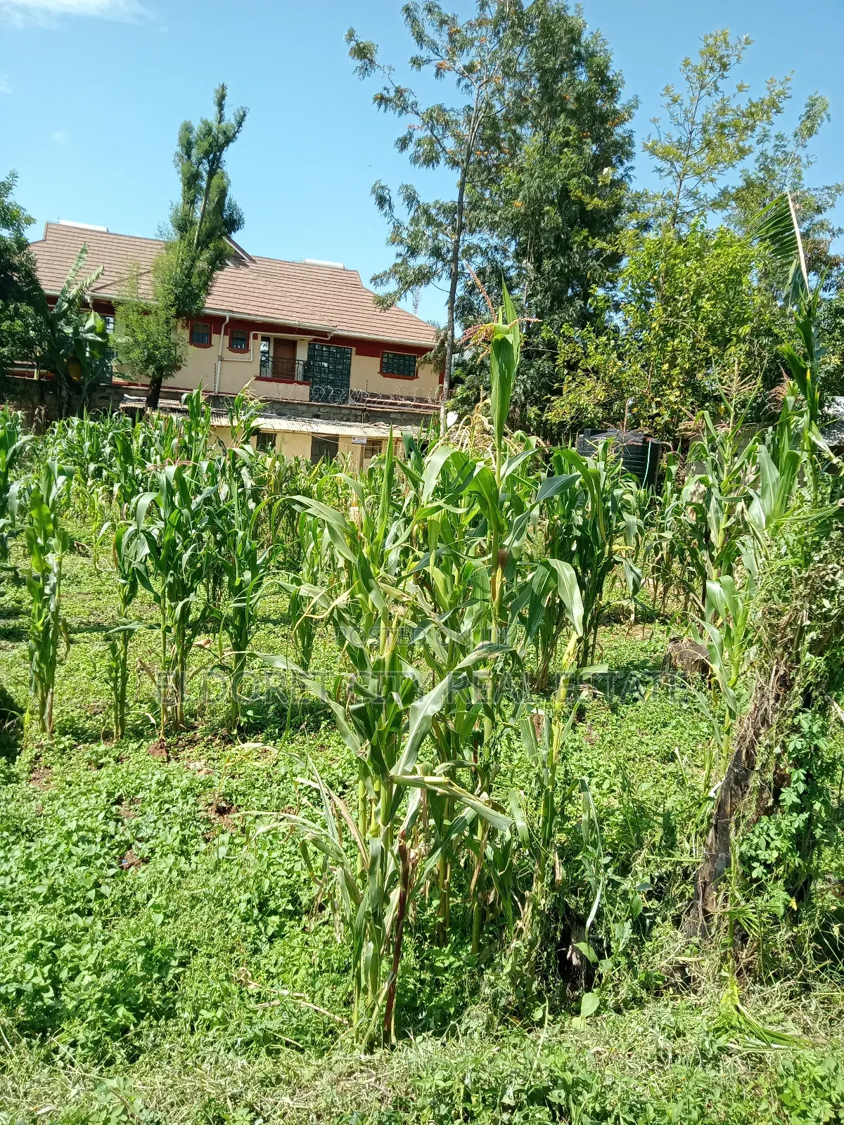 1/2 Acre Elgonview With 3 Bedroom House With Title.