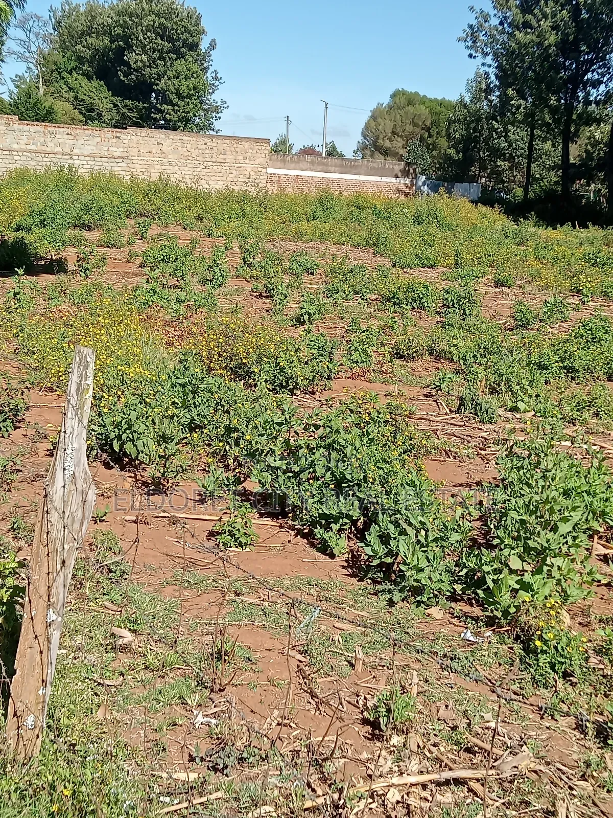 1/4 Plot Kimumu Betterfarm Ideal for Rental