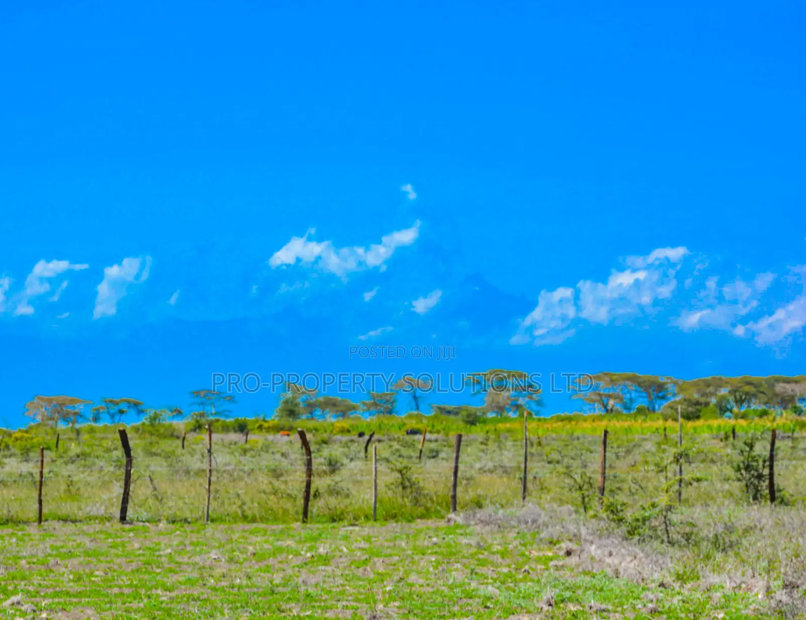 Residential Plot For Sale In Nanyuki, Naromoru