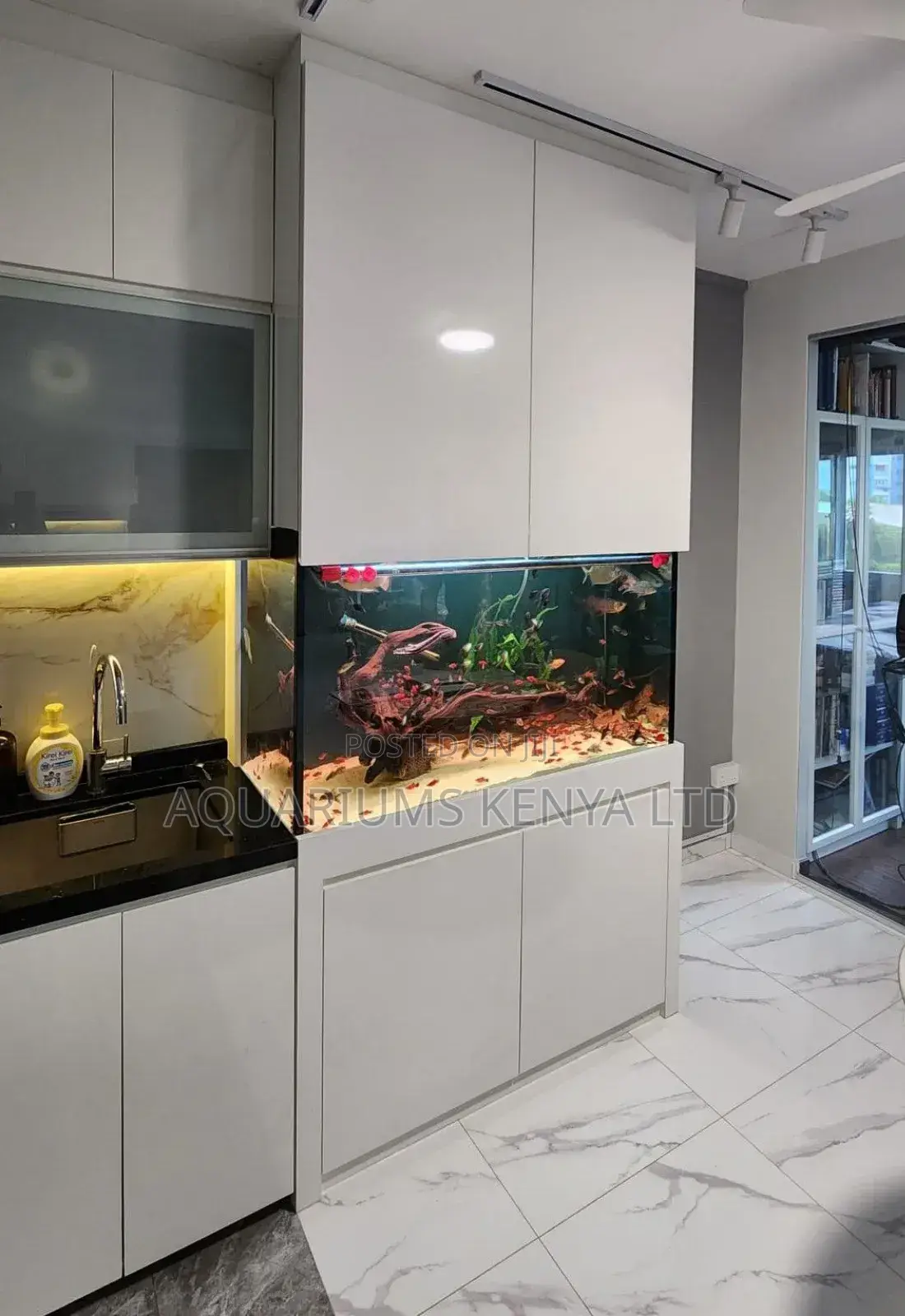 Aquarium Design Ideas