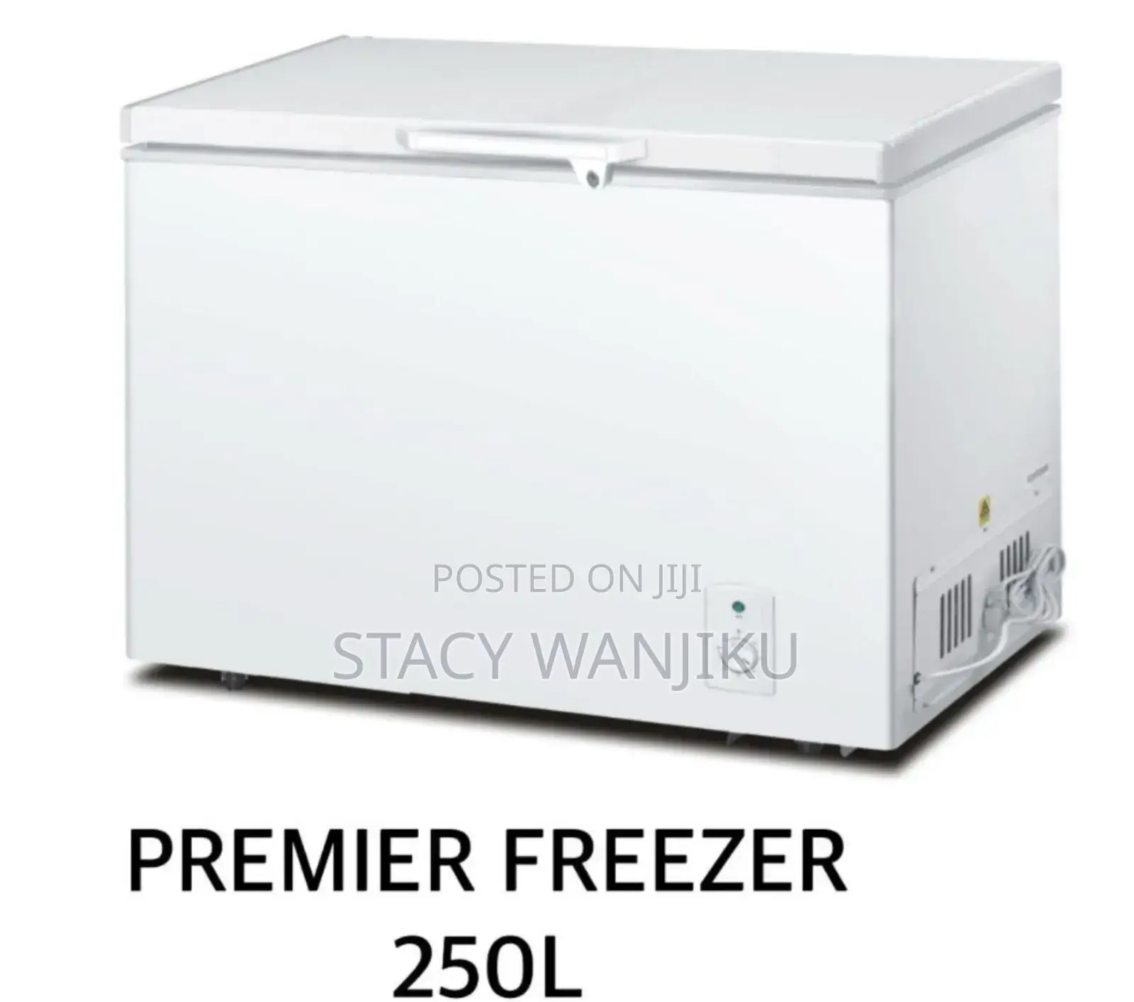 250l Premier Freezer Machine/ Deep Freezer Machine 250l