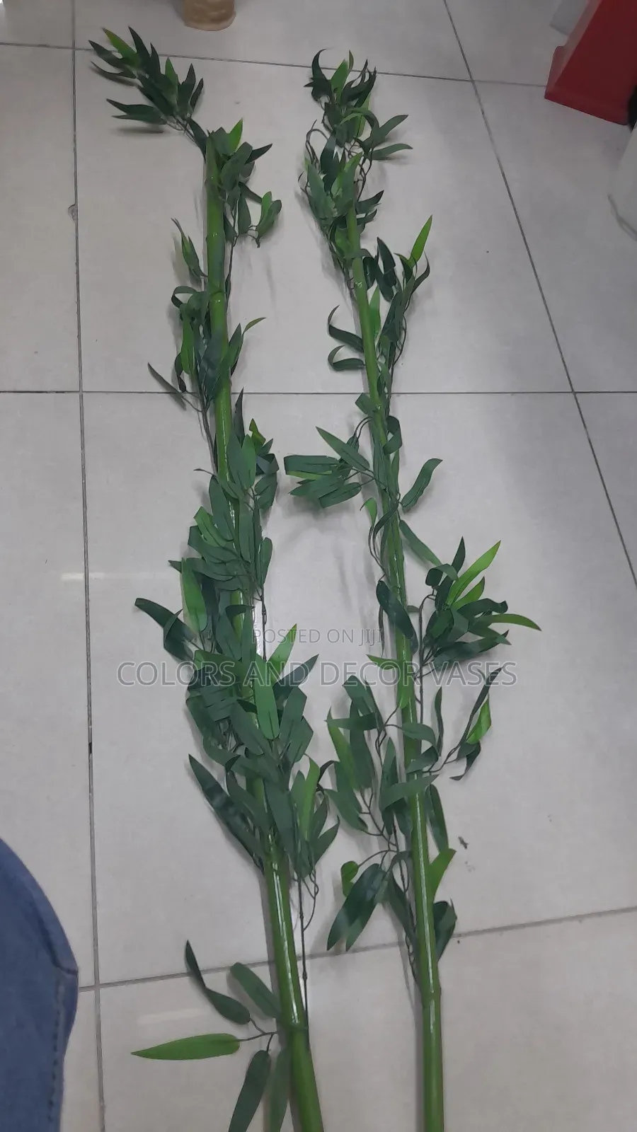 Bamboo Sticks 1.7m Long