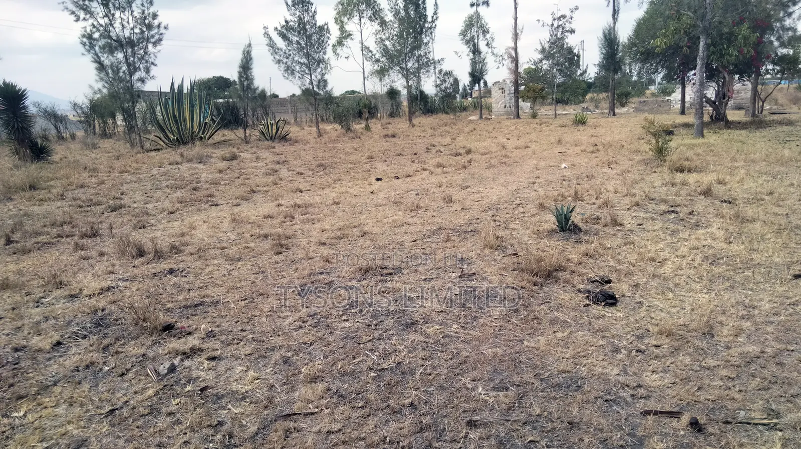 Commercial Land for Sale at Kantafu