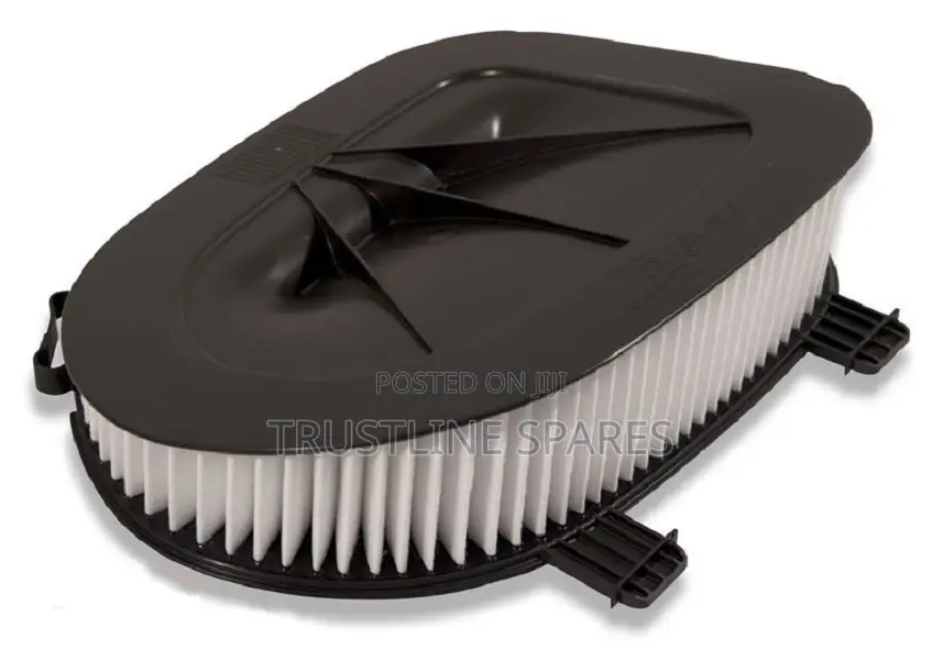 BMW X3(F25)X5(E70)X5(F15,F85)X6(E71,E72) Air Filter -Hengst