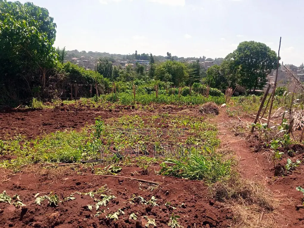 Vacant 0.5 Acre Plot for Sale in Thome