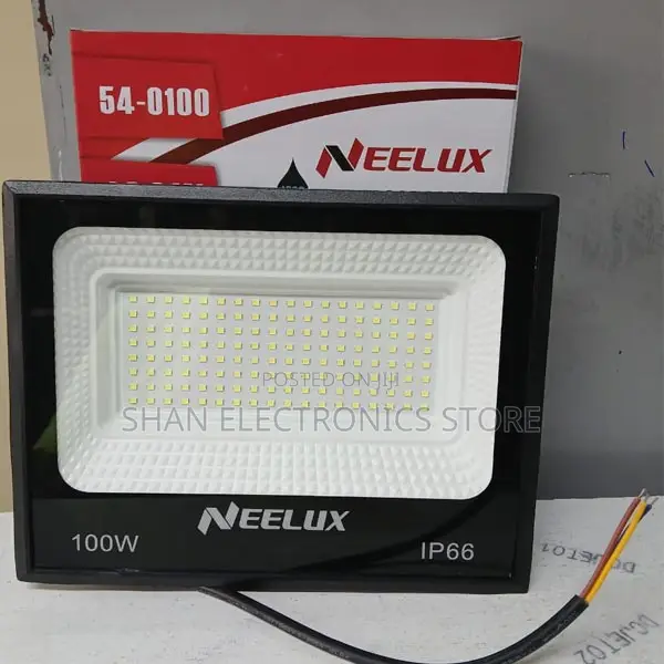 Garden, Garage, Rooftop 100 Watts Electric Neelux Floodlight