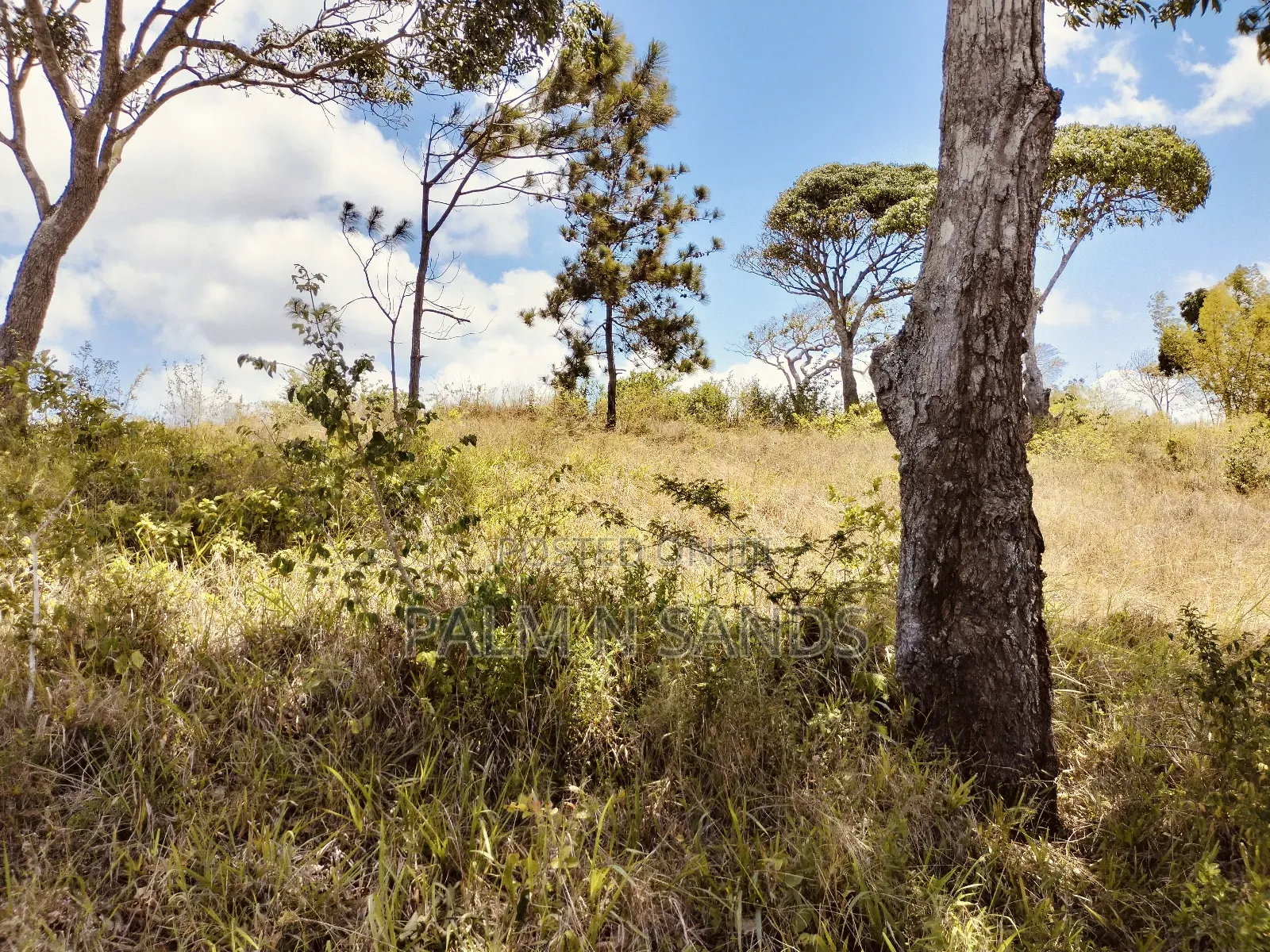 4.5 Acre Golini Ridge Land on Sale!! At