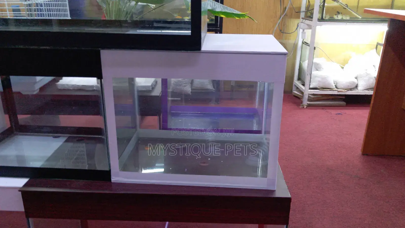 Small Aquarium