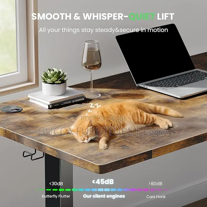 Office Desk: 1.2 Meters Adjustable Sit/Stand Electric Desk