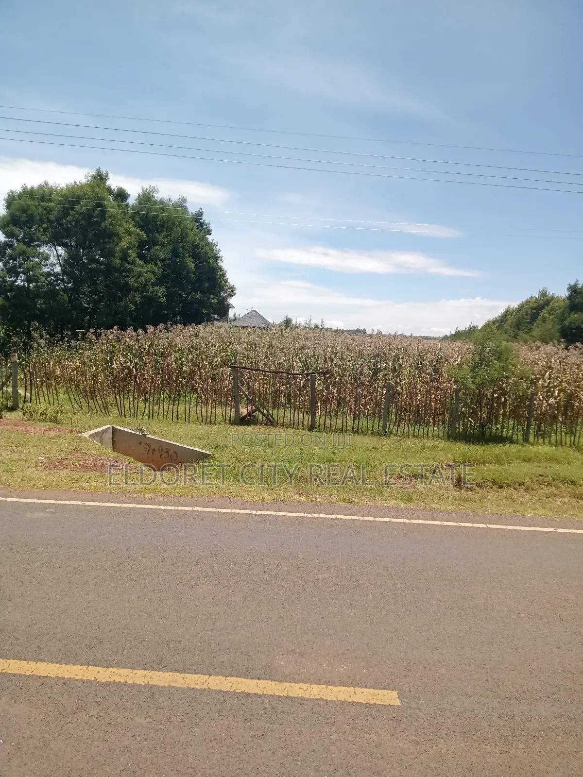 2 Acres Jagiir Farm,Near Koilel Touching Tarmac.