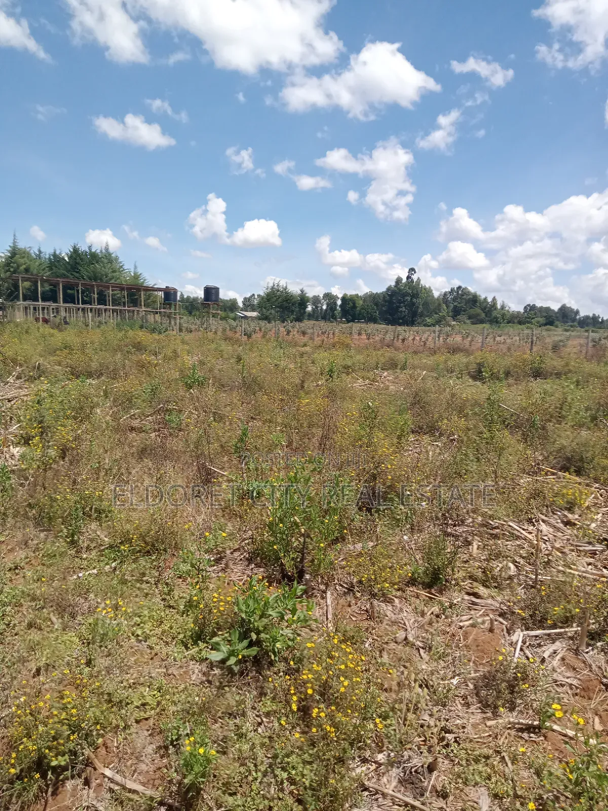 1/8 Plot Outspan After Annex Kiambaa Area