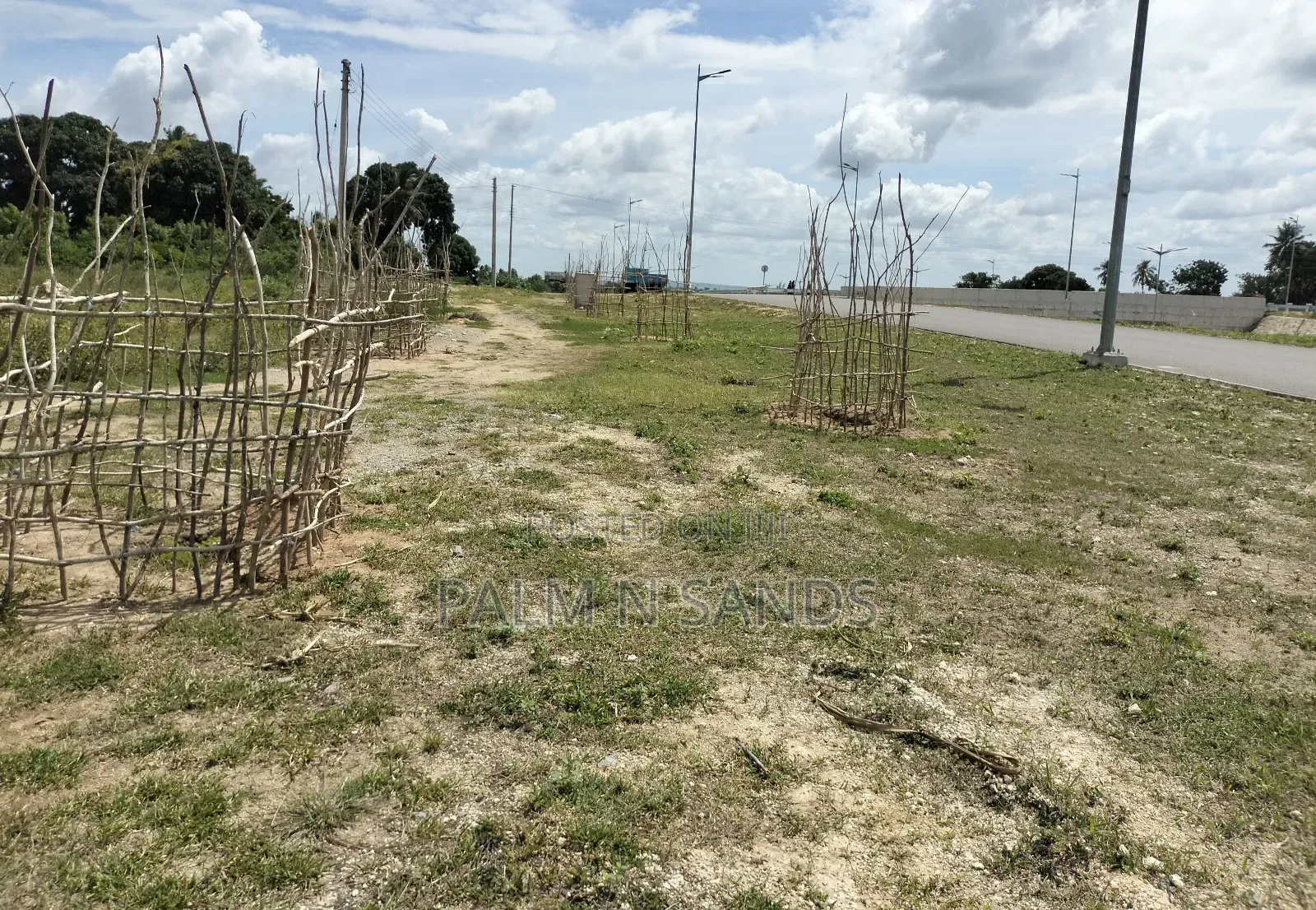 Dongo Kundu Prime Plots on Sale! At