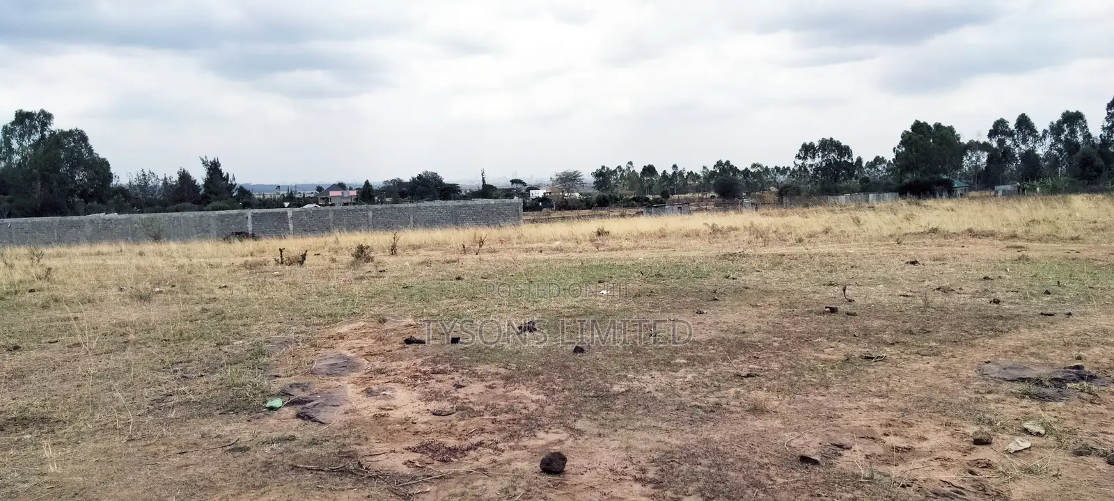 Commercial Plots for Sale in Tuala