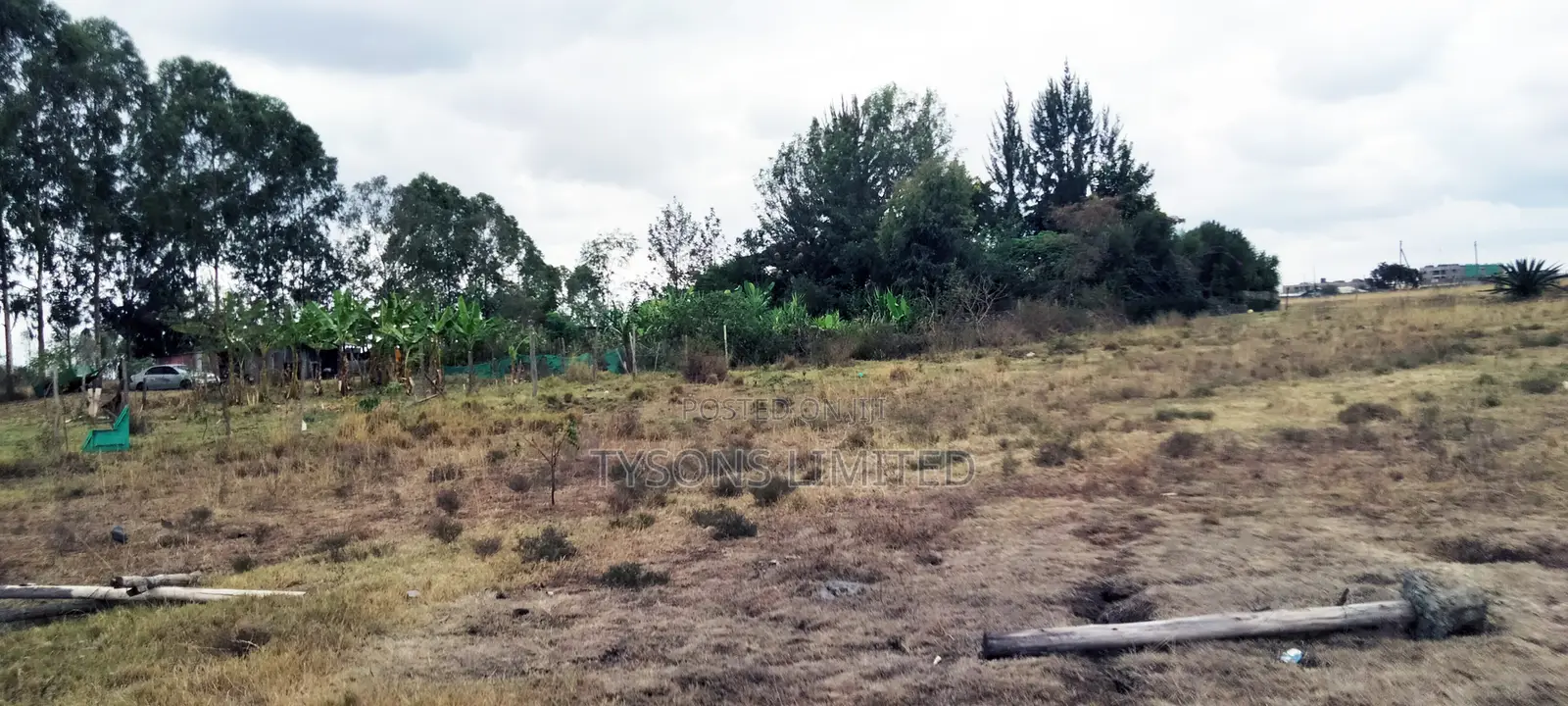 Commercial Plots for Sale in Tuala