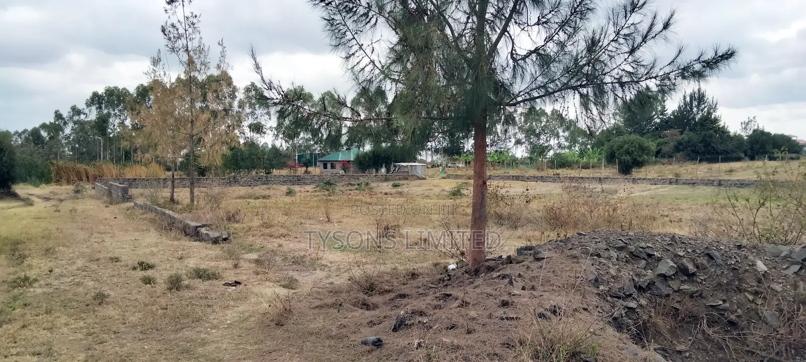 Commercial Plots for Sale in Tuala