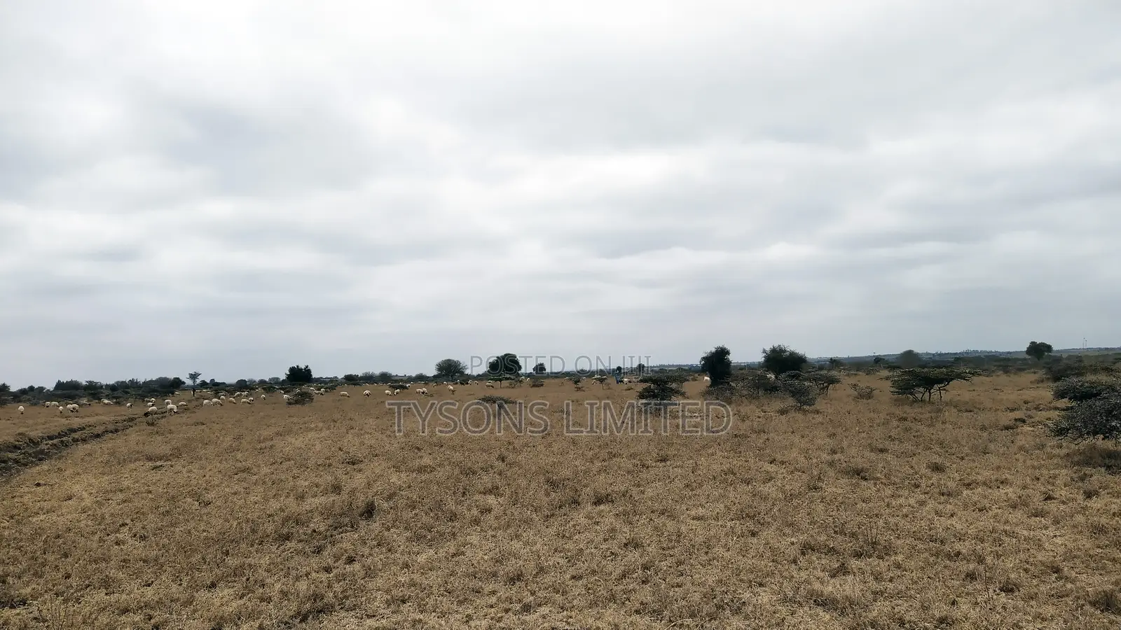 10 Acres for Sale in Isinya