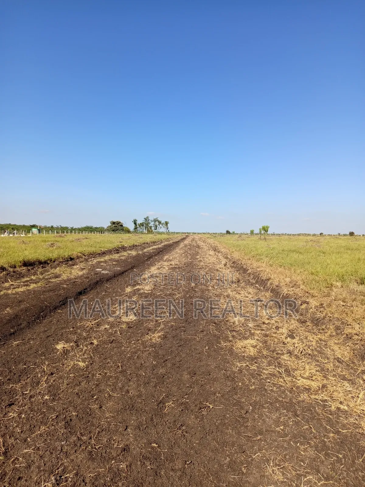 Plots for Sale -Nanyuki Fahari Ridge