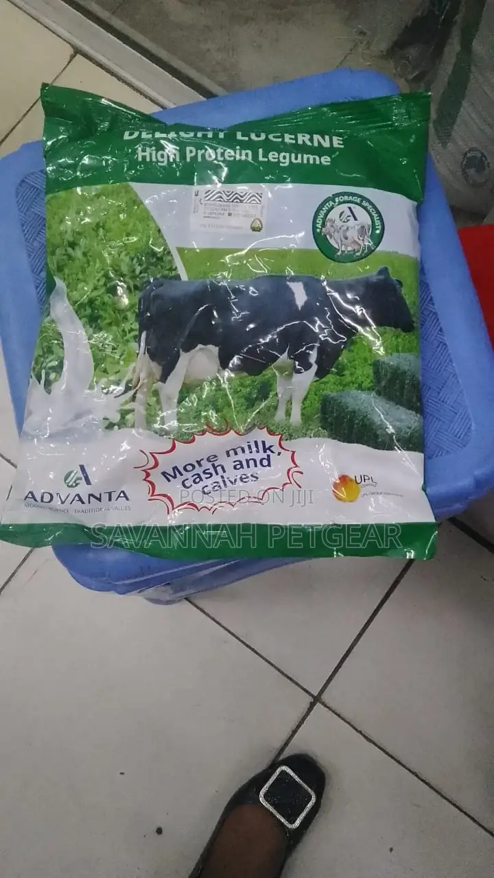 Advanta Sugargraze- Forage Sorghum 1kg