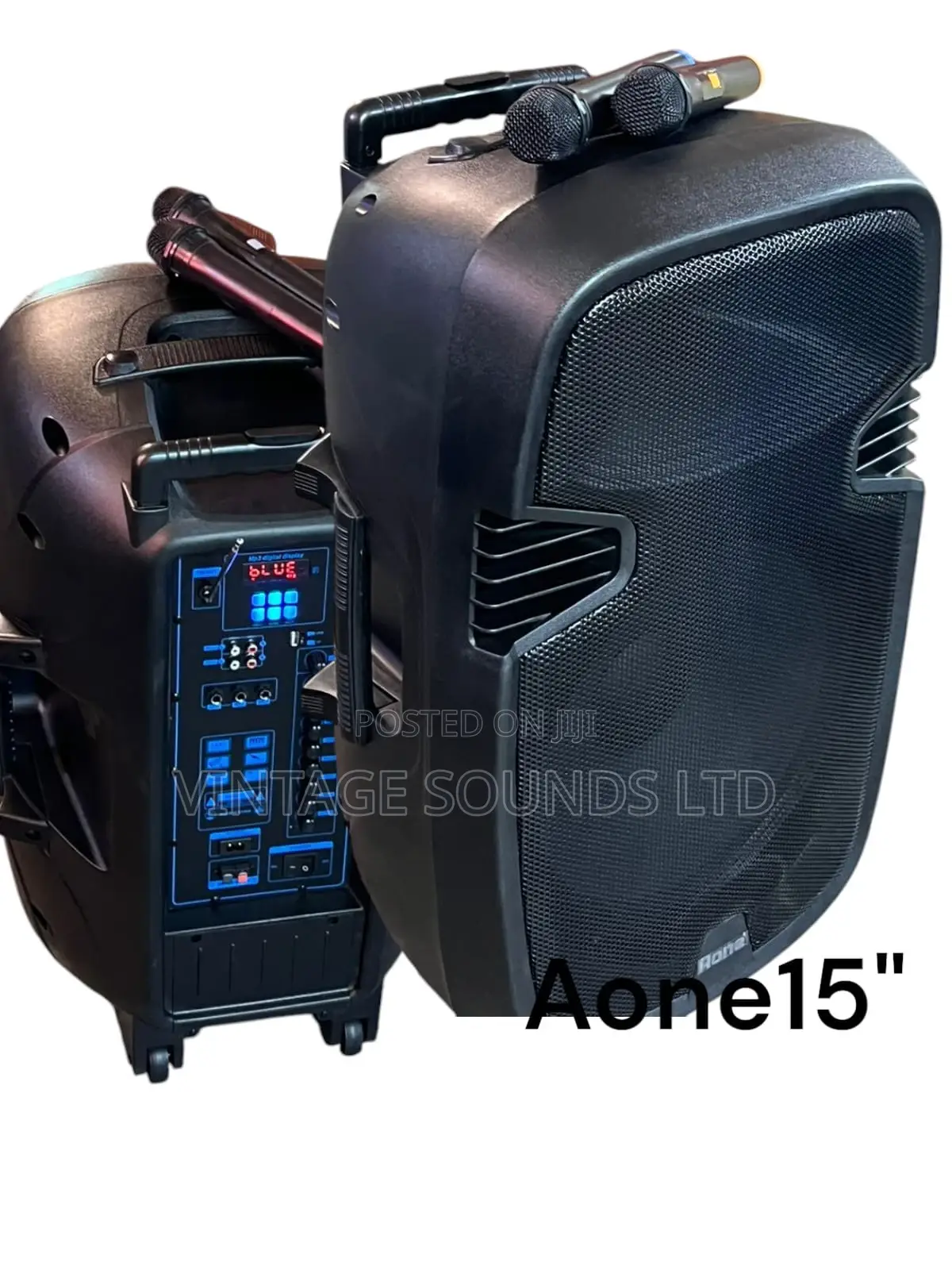 Aone 15 Inch Rechargeable Portable Amplified Powered Speaker