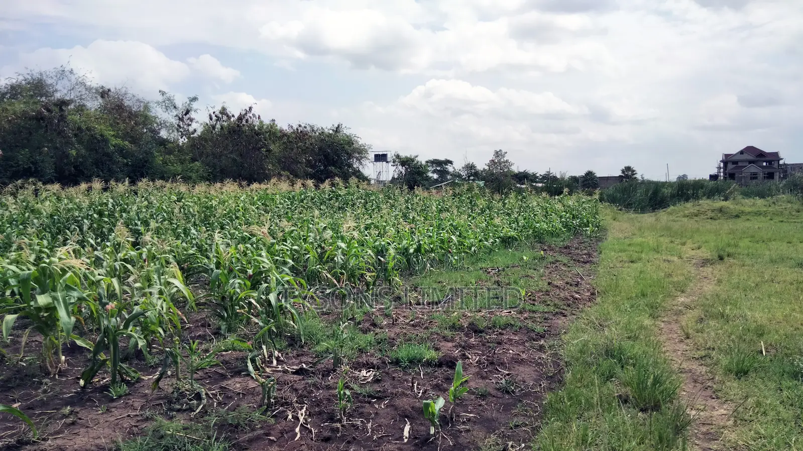 Land for Sale in Ruiru - Varsityville Estate