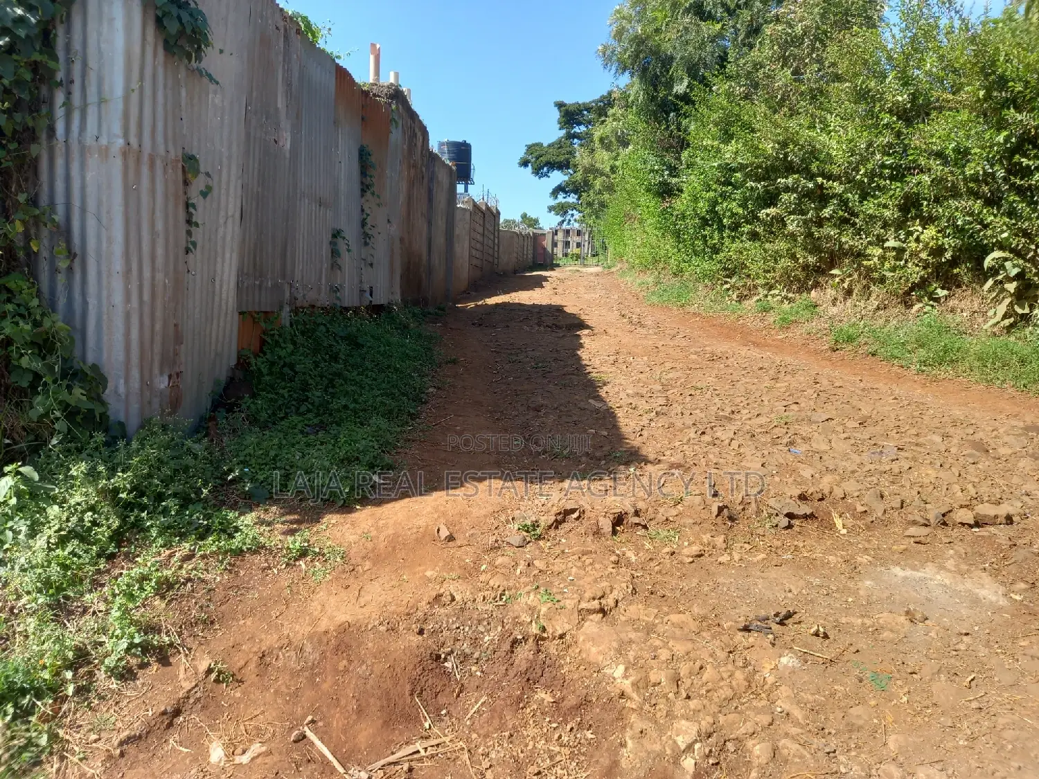 A Must Land for Sale.