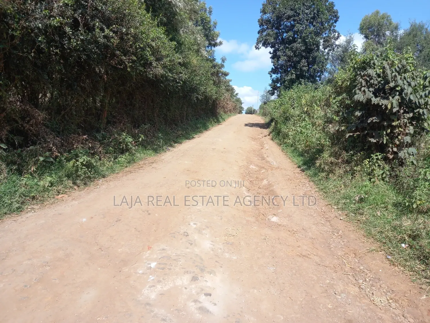 A Must Land for Sale.