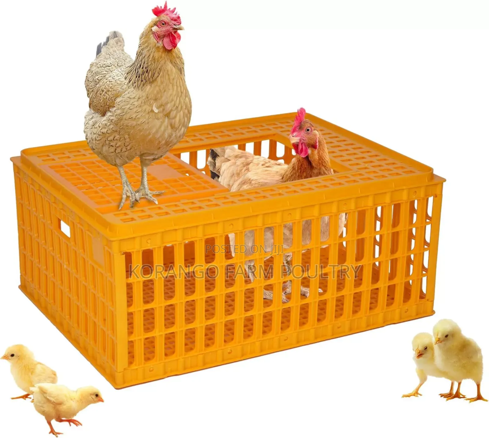 Poultry Transport Cages