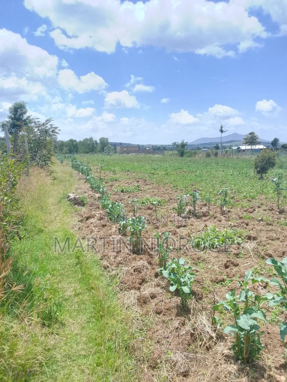 3.5 Acres Nyamathi, Naivasha