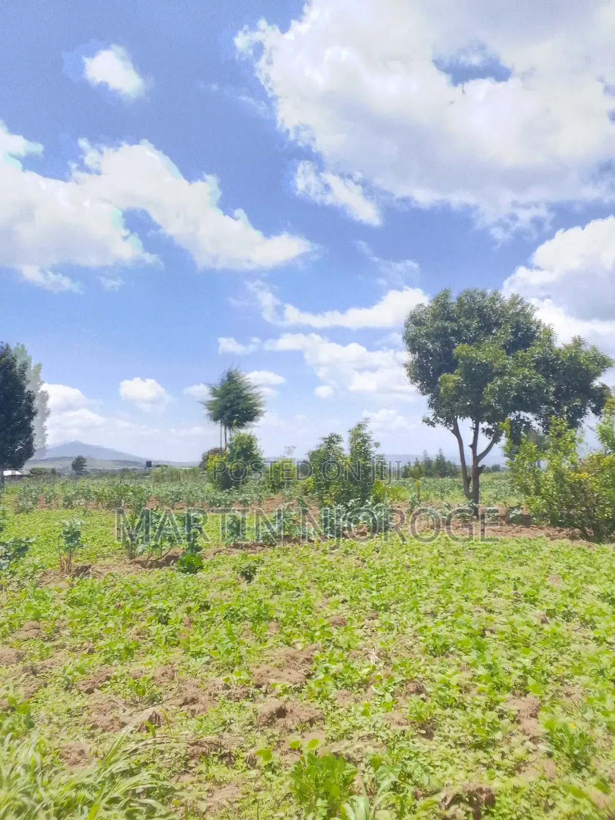 3.5 Acres Nyamathi, Naivasha