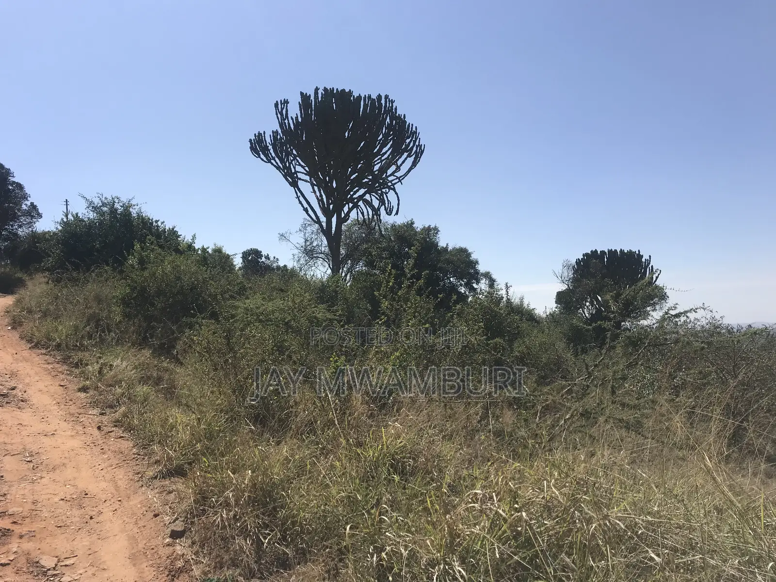 Elevated 5 Acres Land Mua Hills