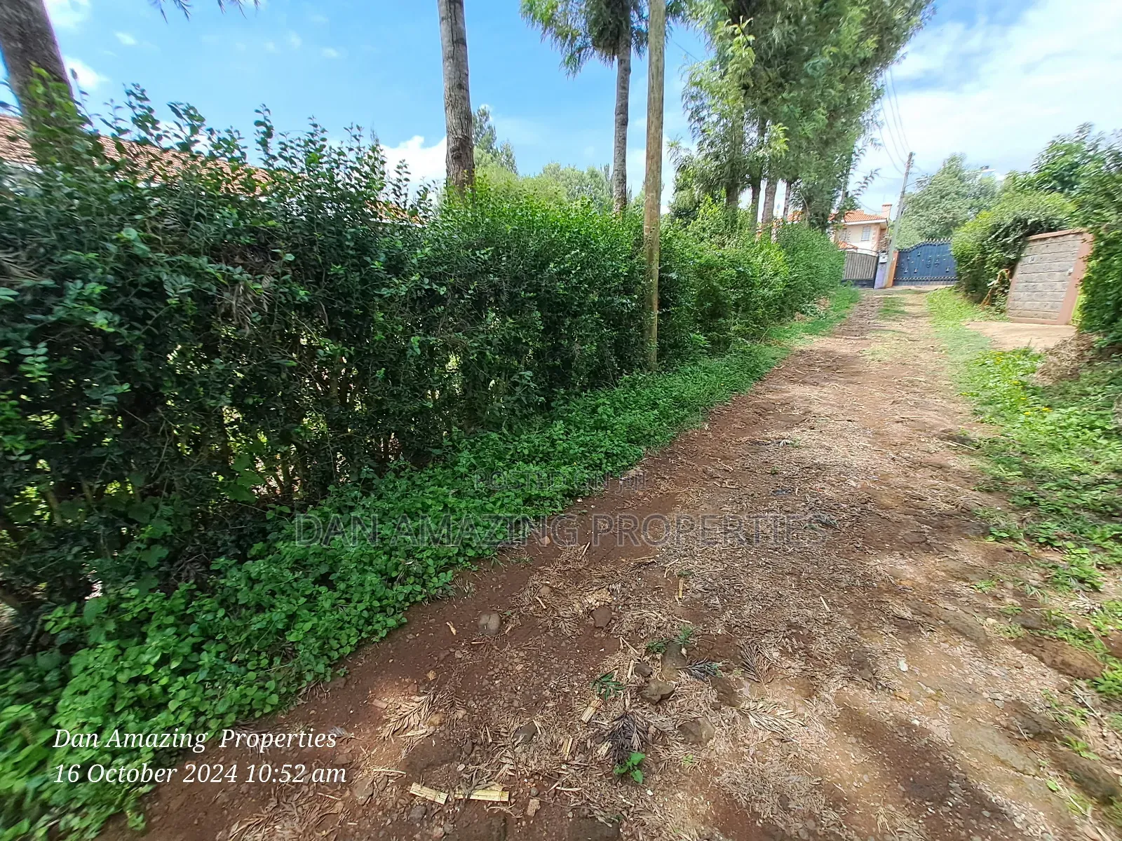 1/4 Acre for Sale in Ngong Zambia Ideal for Residential Home
