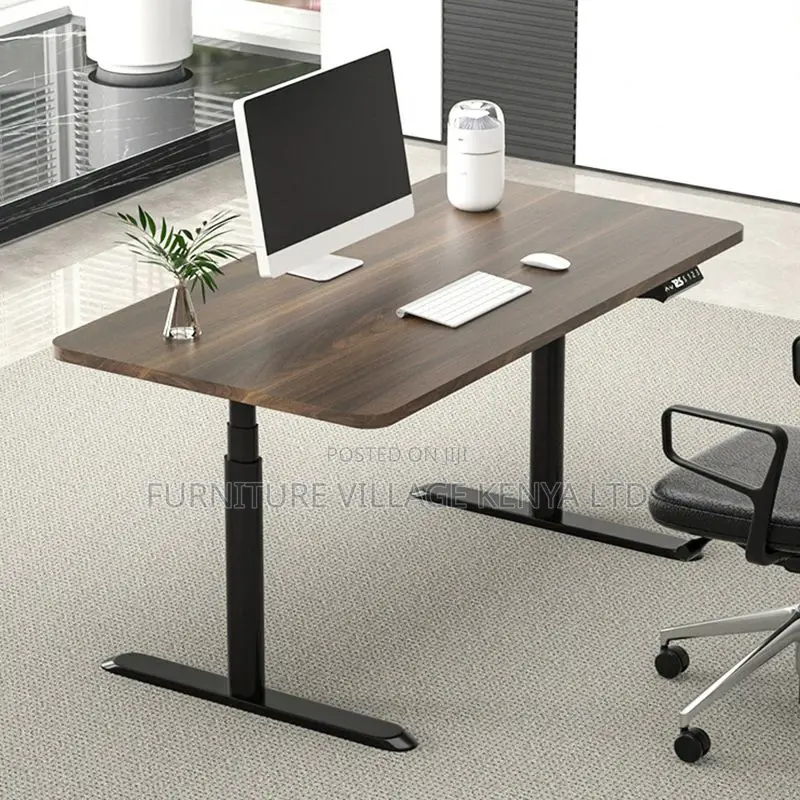 Electric Adjustable Standing Study Desk