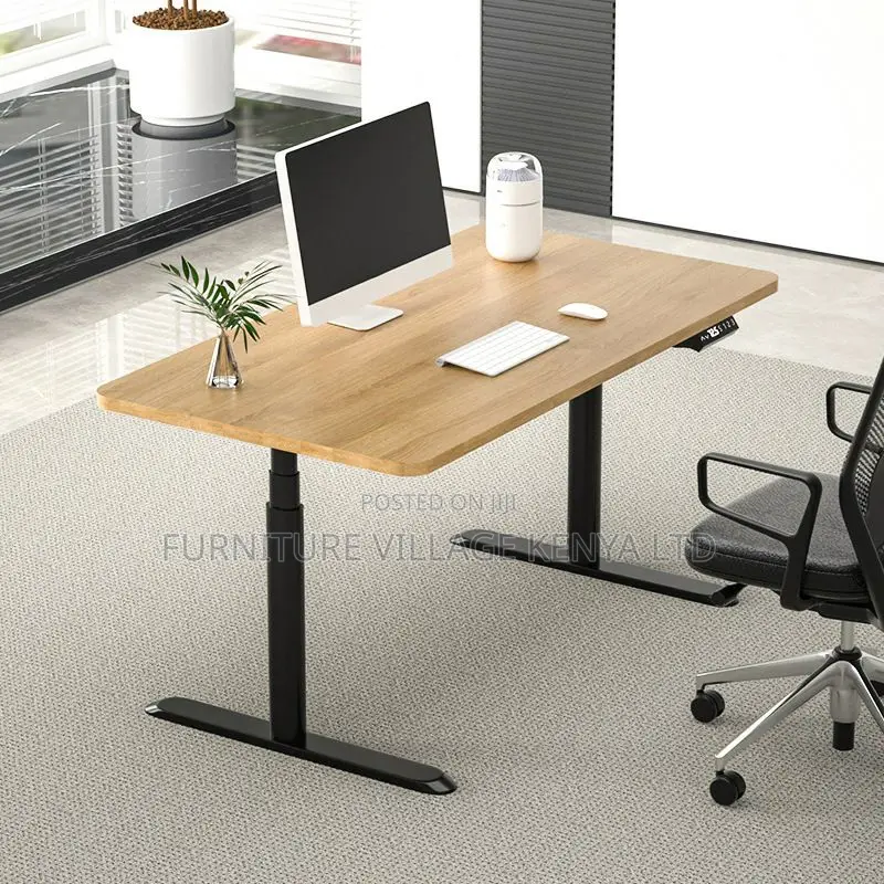 Electric Adjustable Standing Study Desk