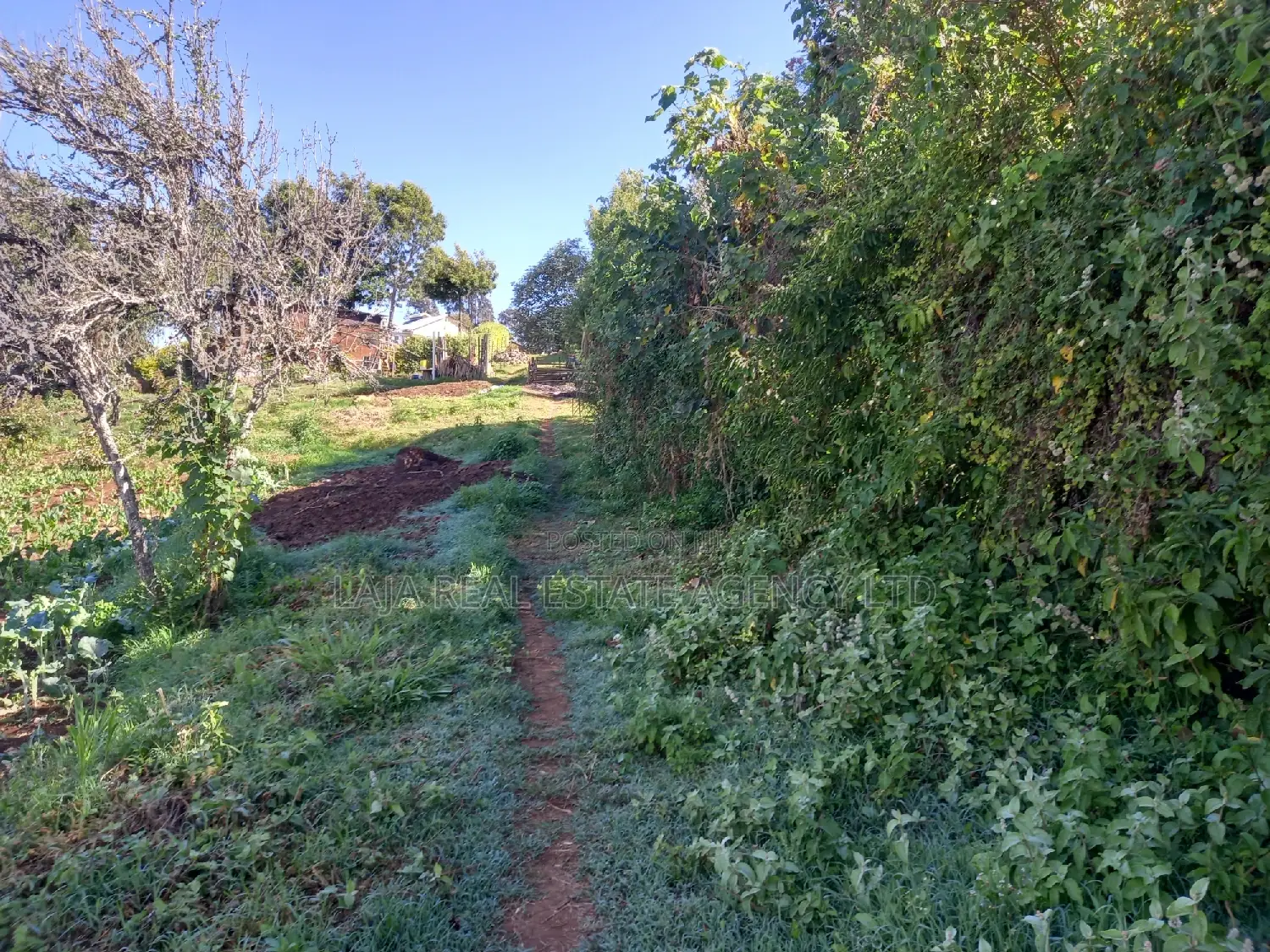 Tigoni Highlands Sale