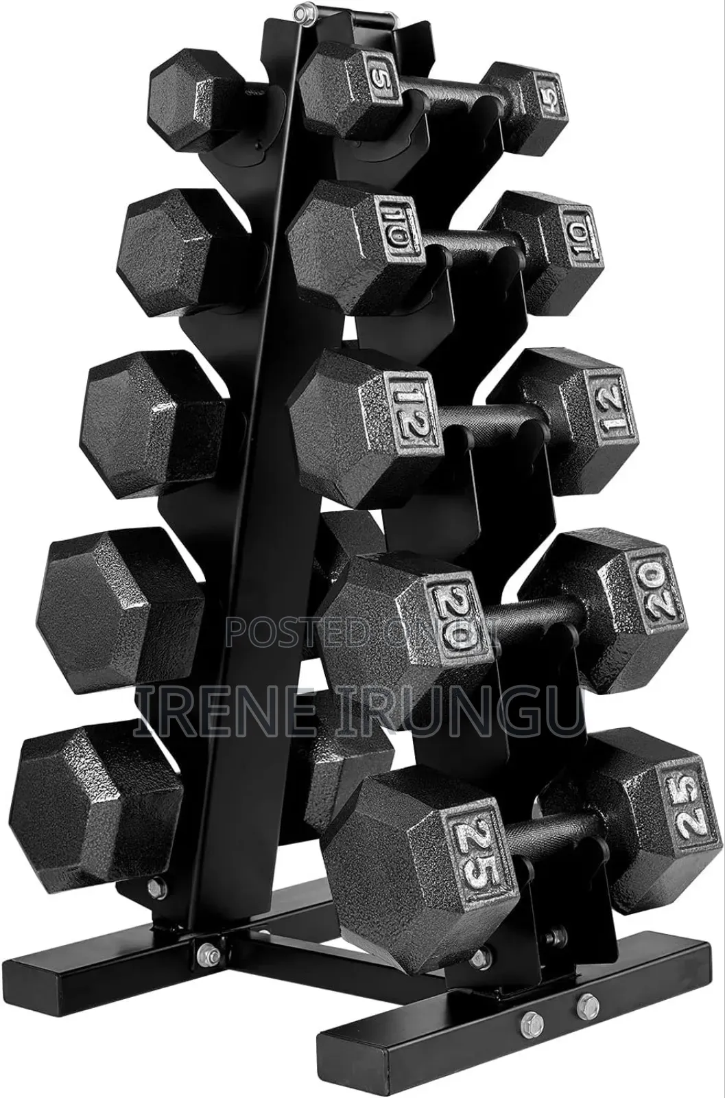 Workout Dumbbells+ Dumbbells