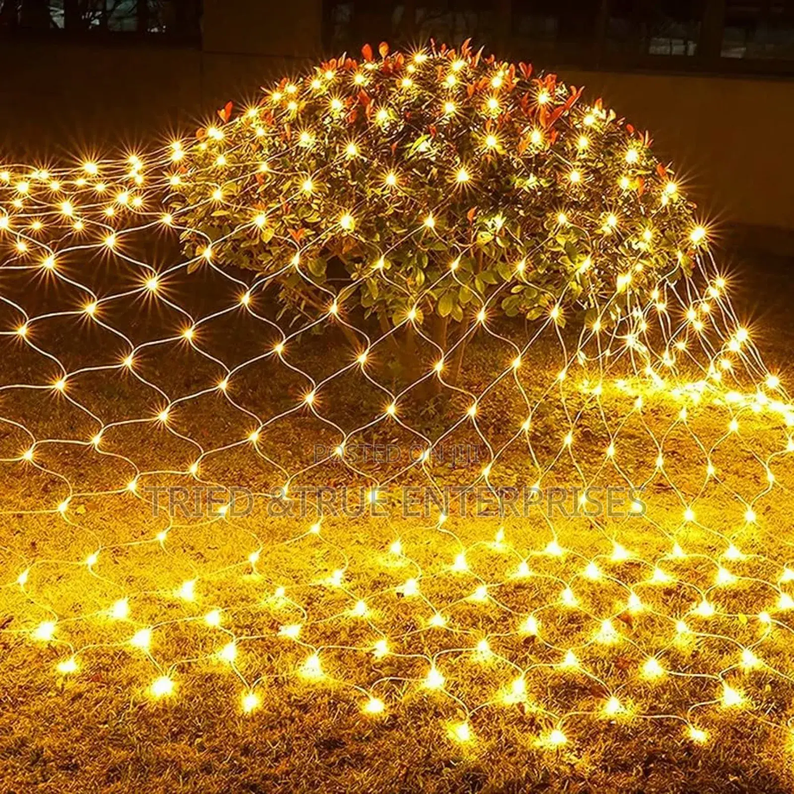 300 by 300 Christmas Lights Vd4