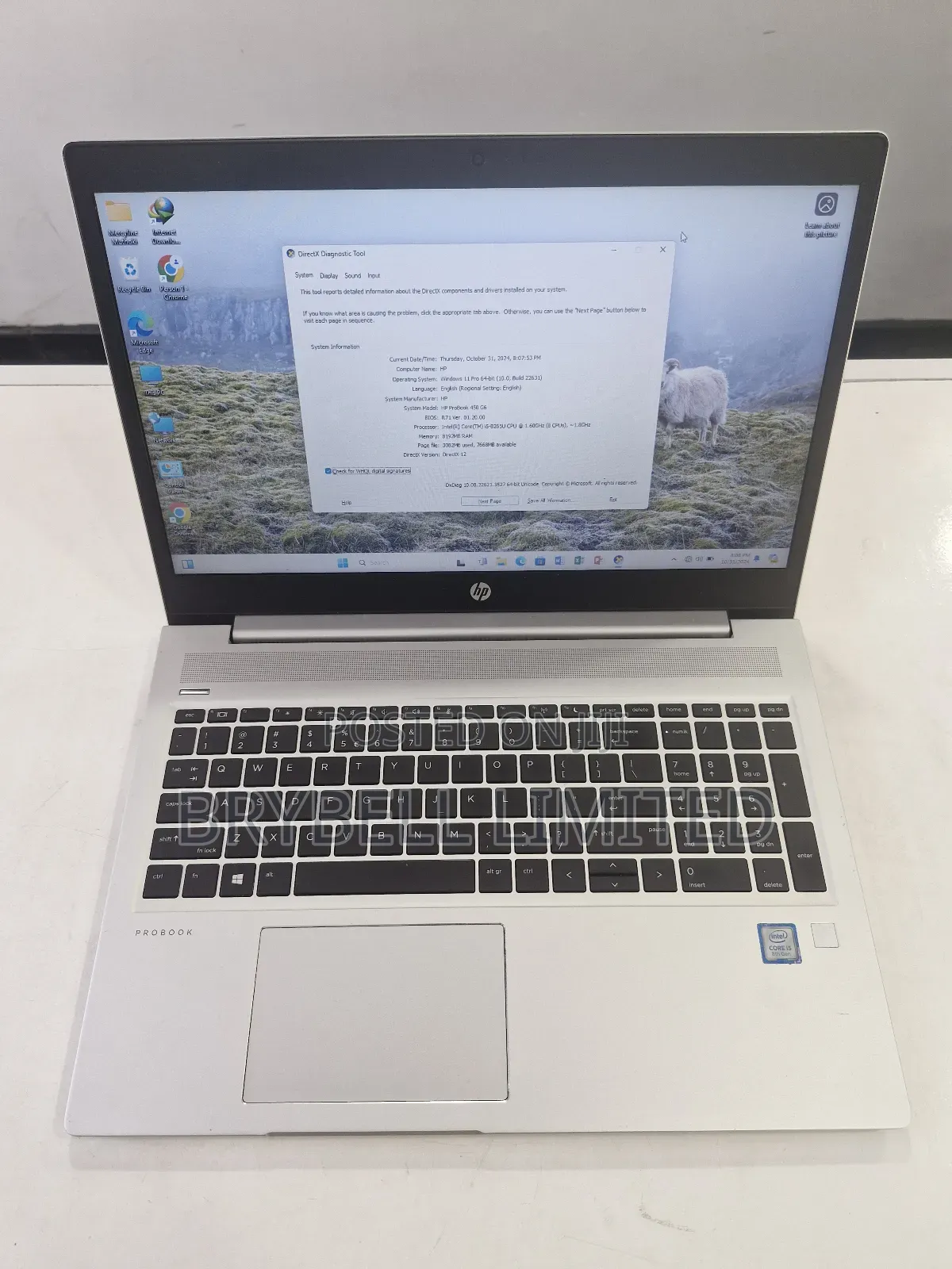 Laptop HP ProBook 450 G6 8GB Intel Core i5 SSD 500GB