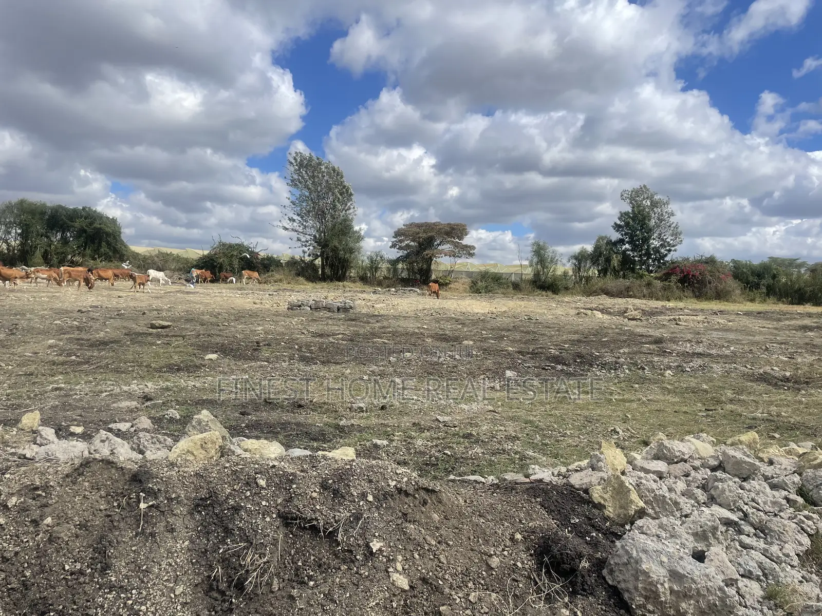 Plot for Sale