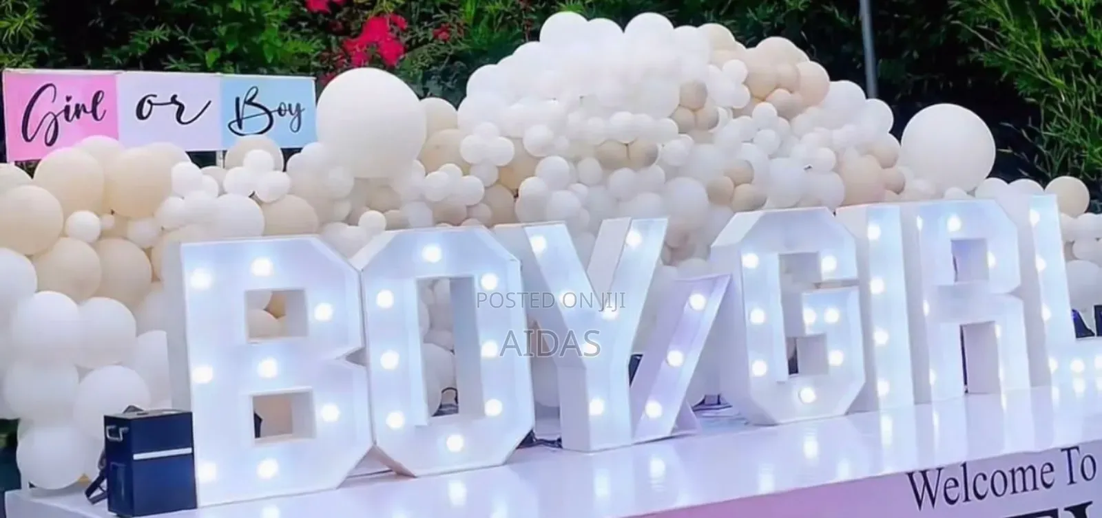 Boy or Girl Gender Reveal Celebration Package
