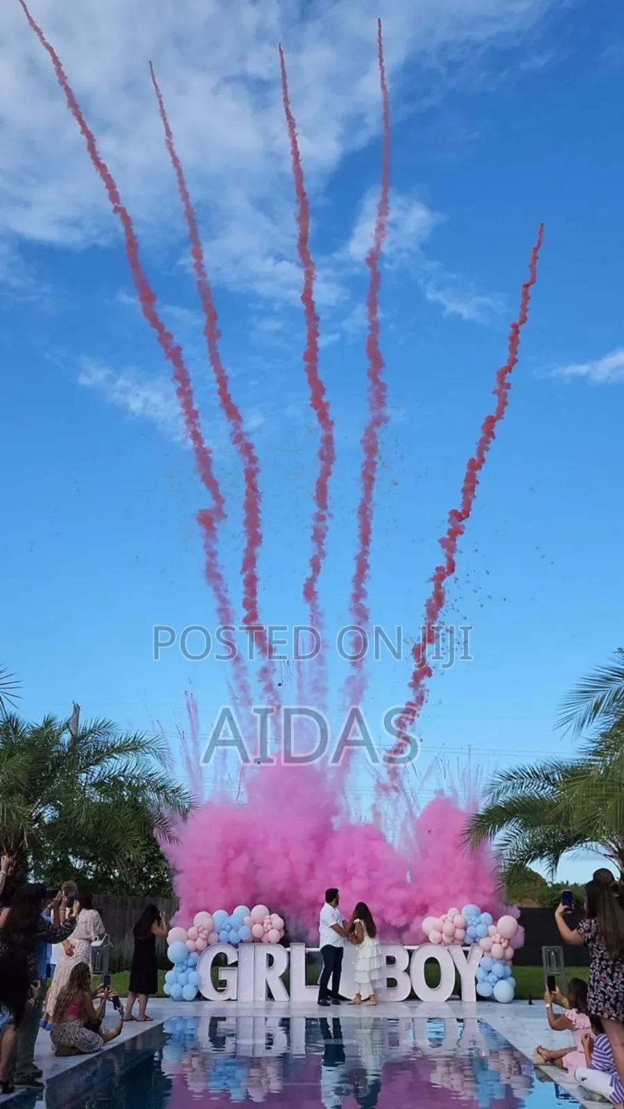Boy or Girl Gender Reveal Celebration Package