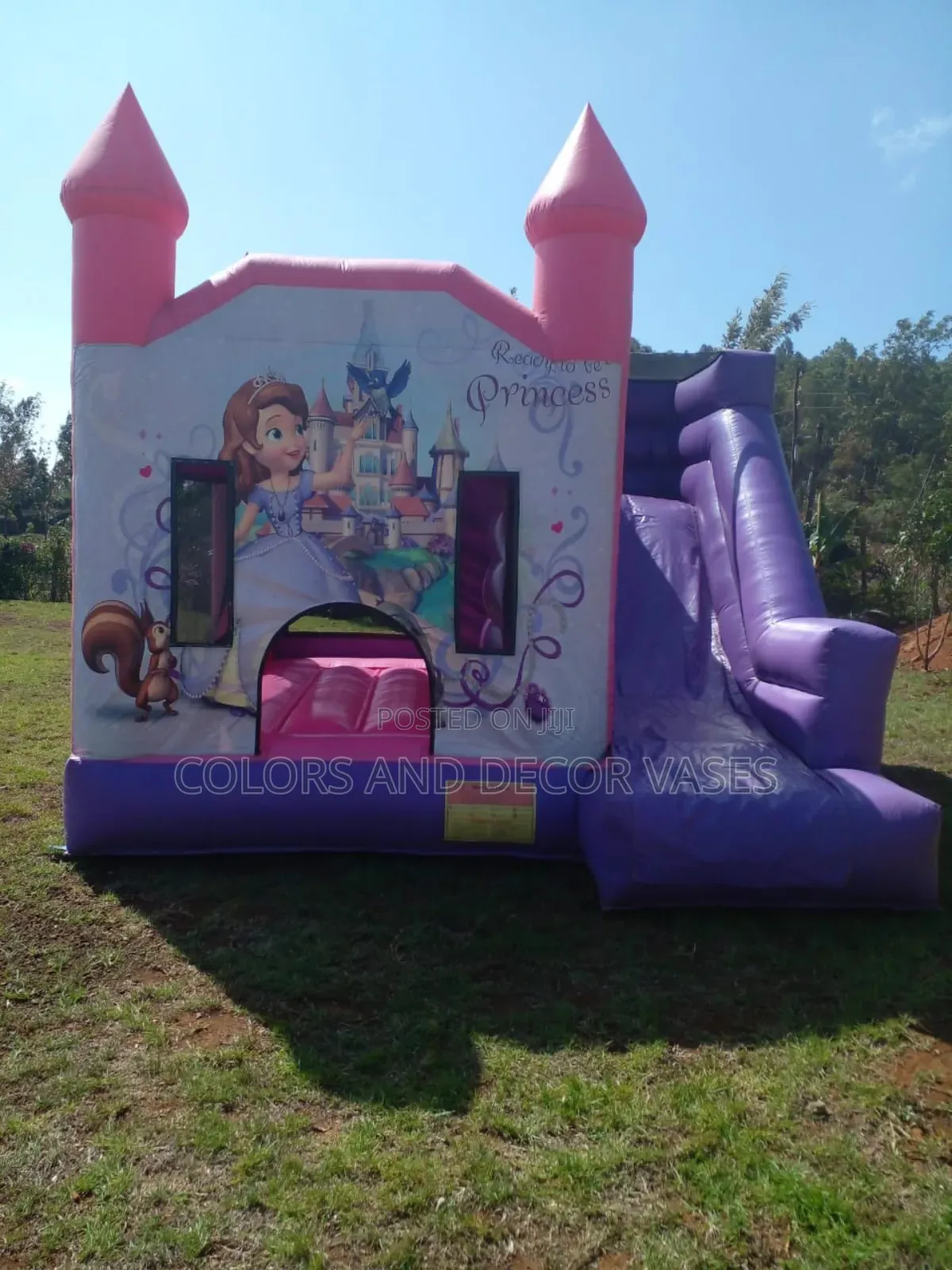 Sofia Themed Bouncing Castle