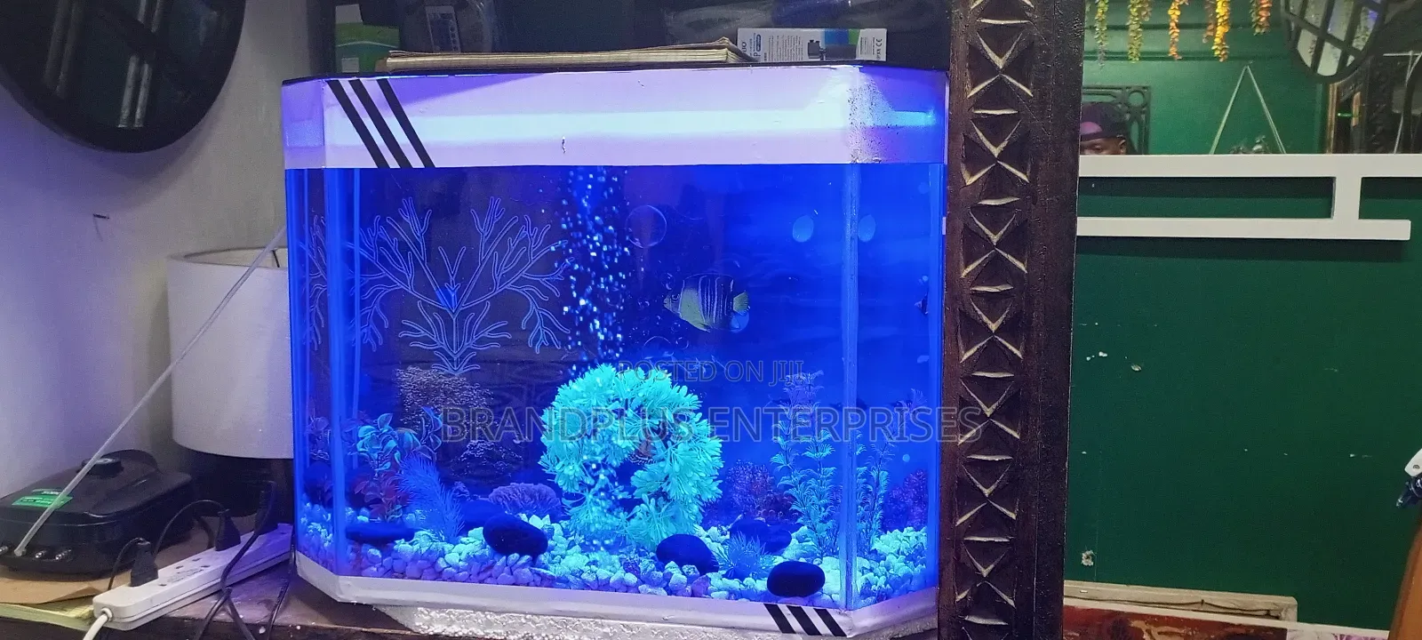 Medium Fish Aquarium