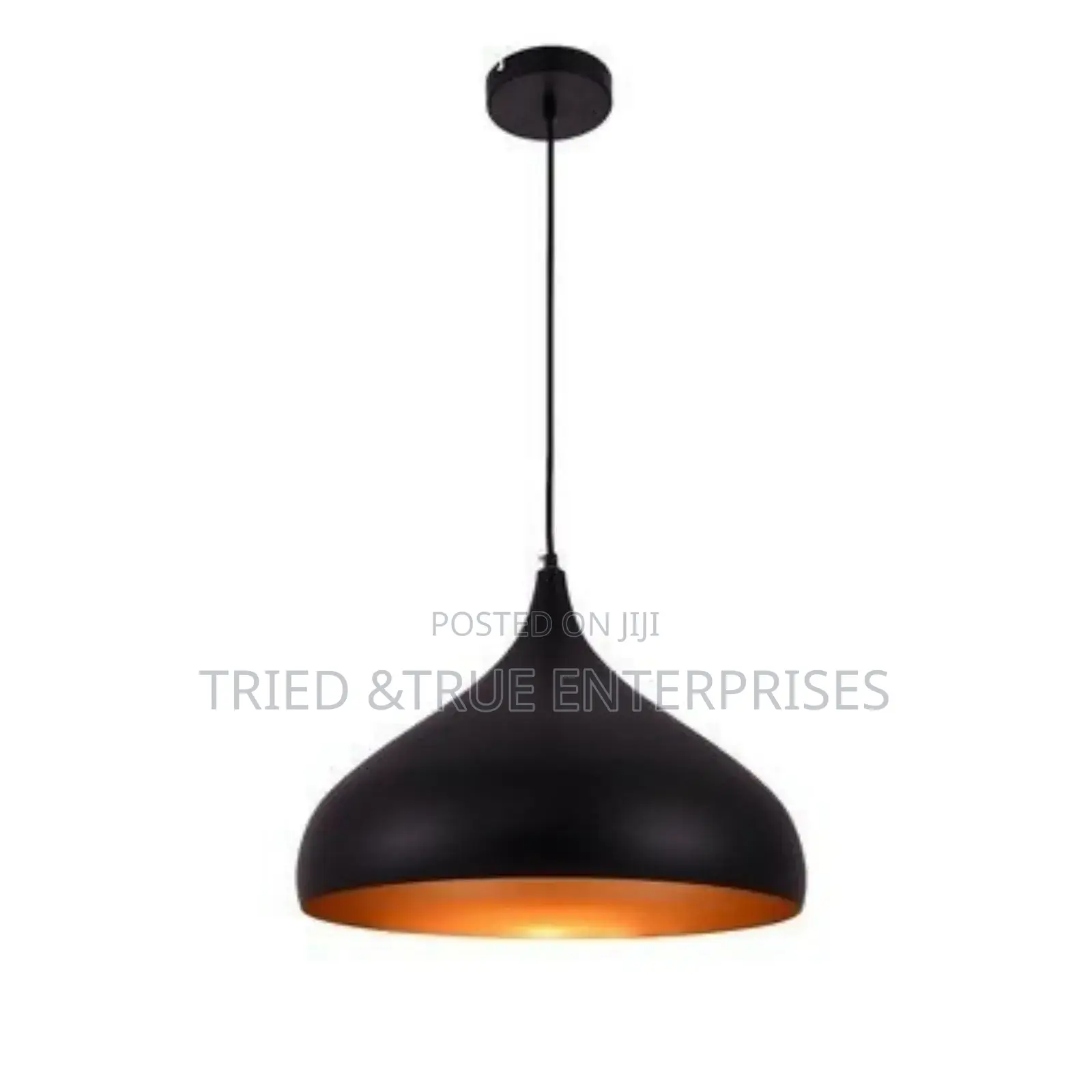 Single Pendant Light Fr4