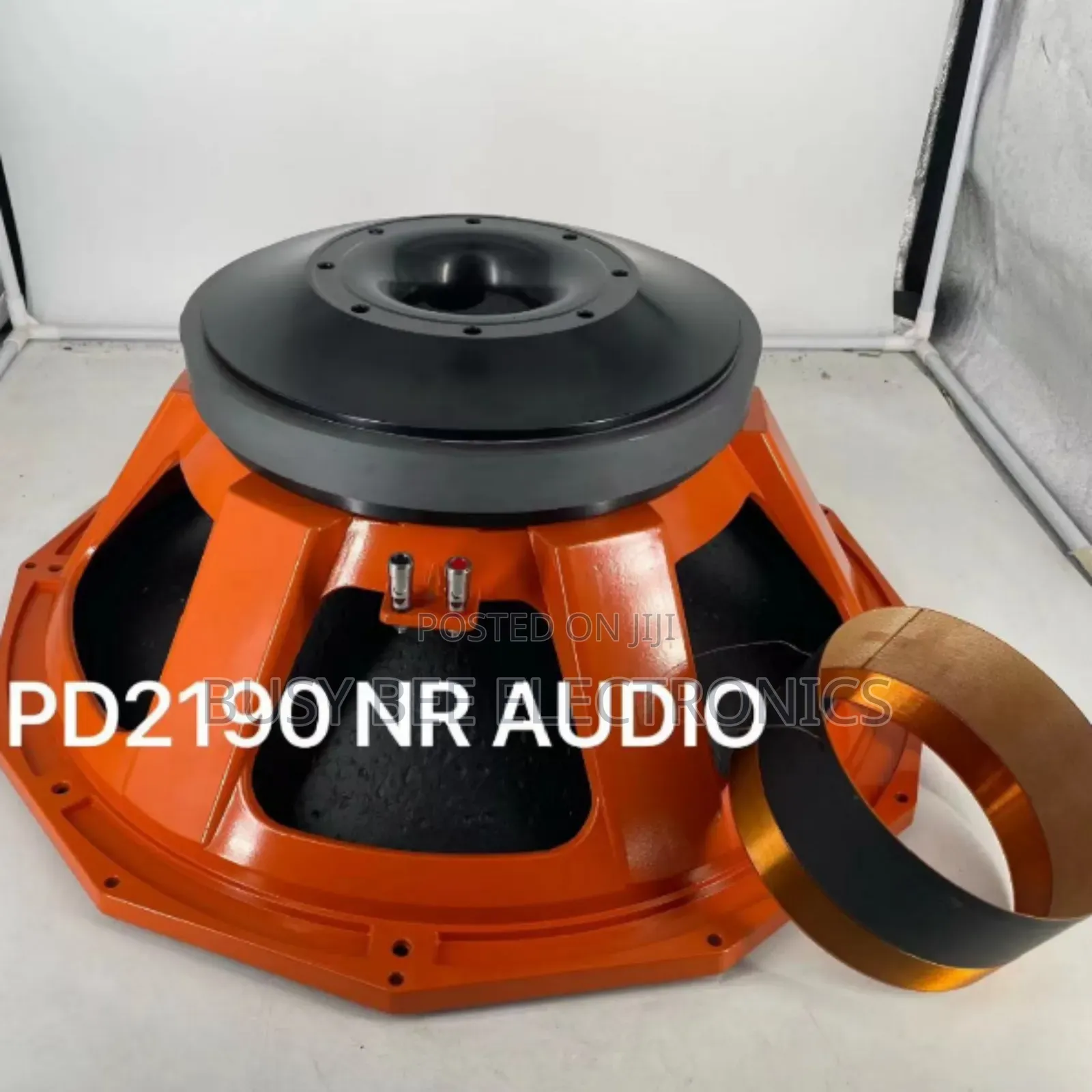 Pd2190 Nr Audio Naked Speaker