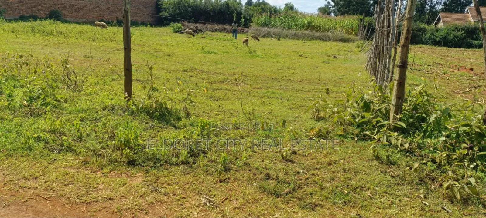 1/4 Plot Kimumu Ideal for Rental.