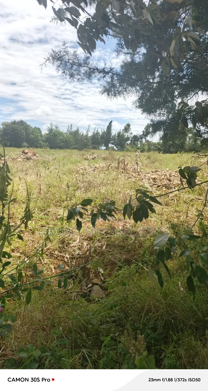 2 Acres Lemook Kapseret Ideal for Residential