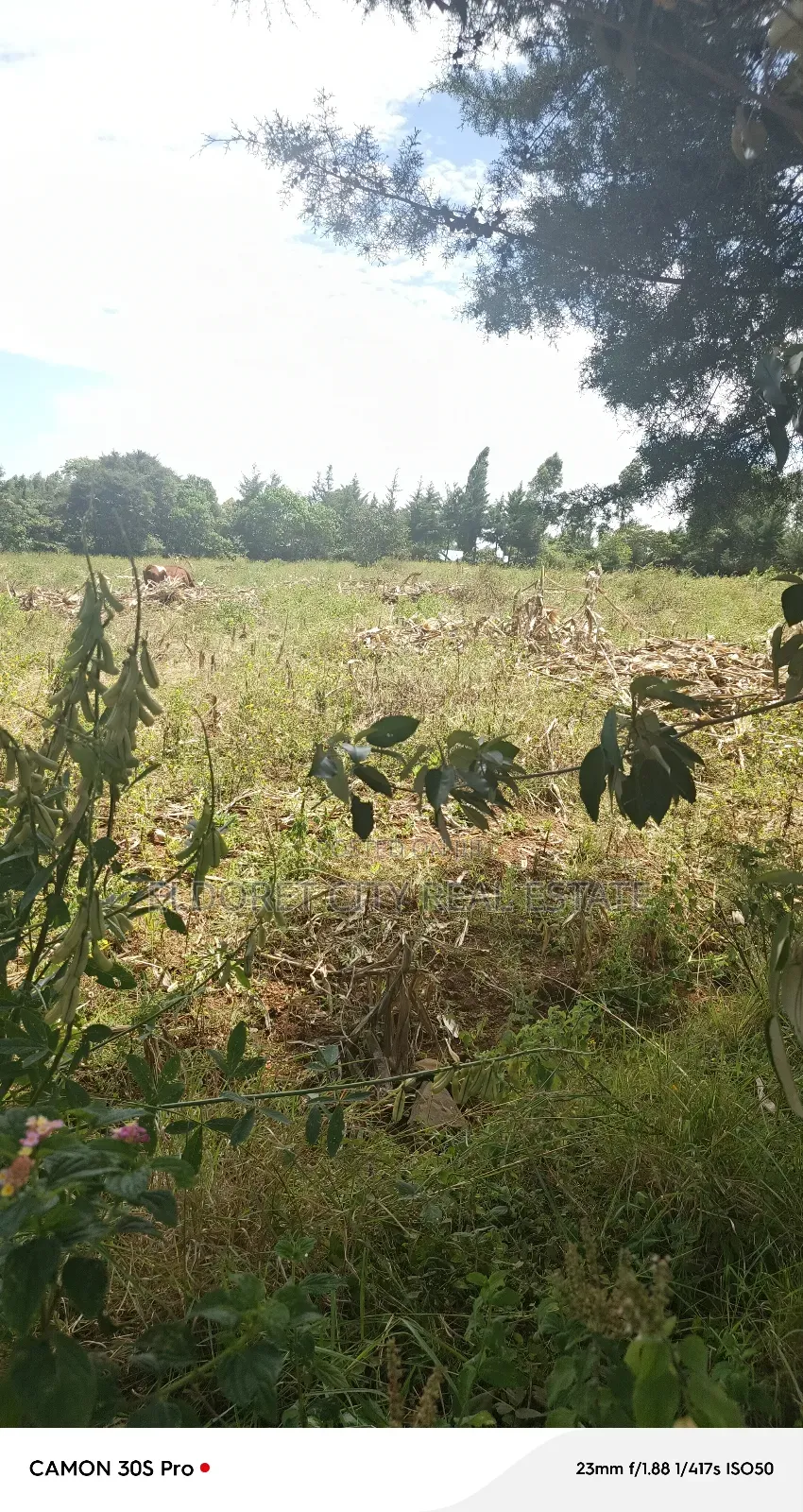2 Acres Lemook Kapseret Ideal for Residential