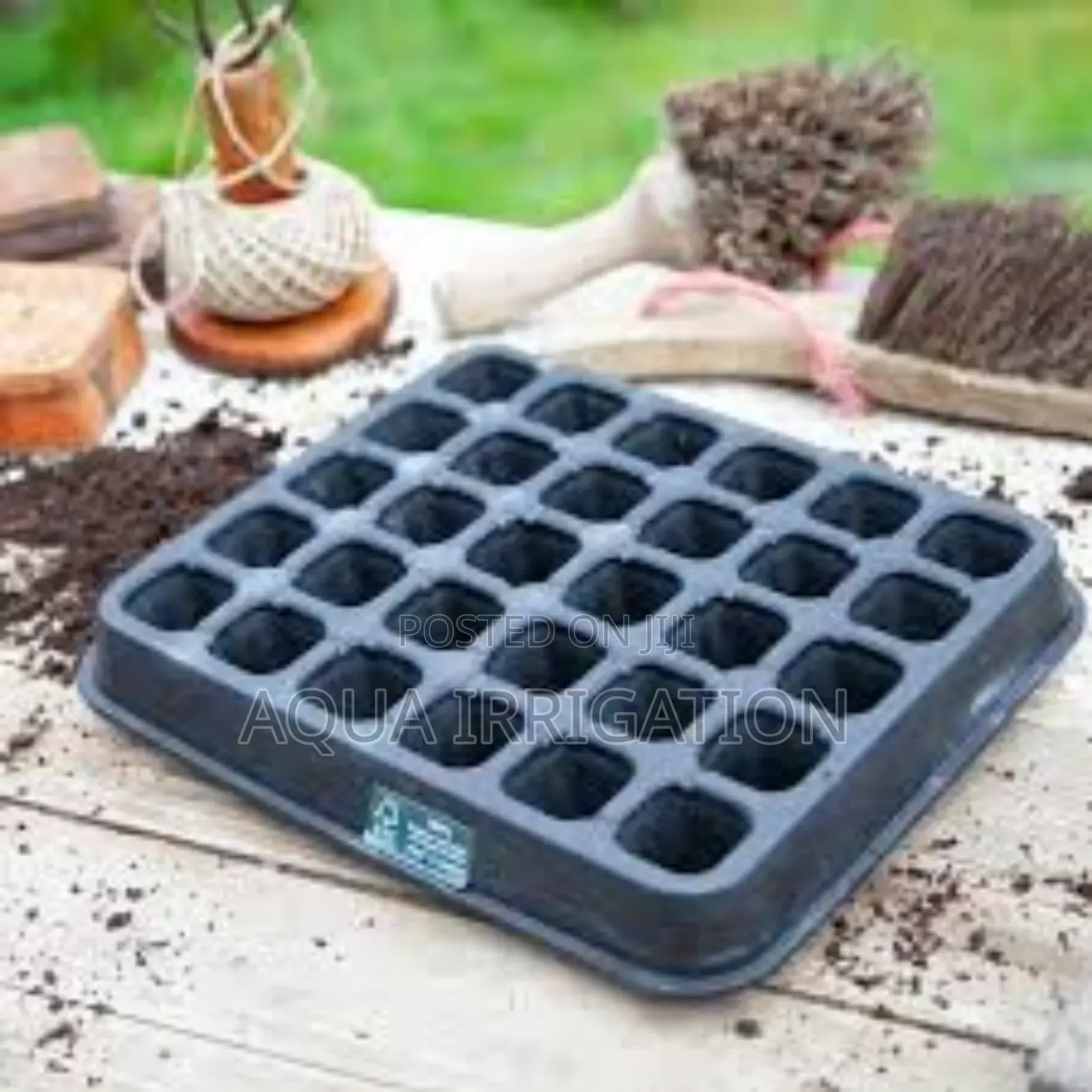 Natural Rubber Seed Trays