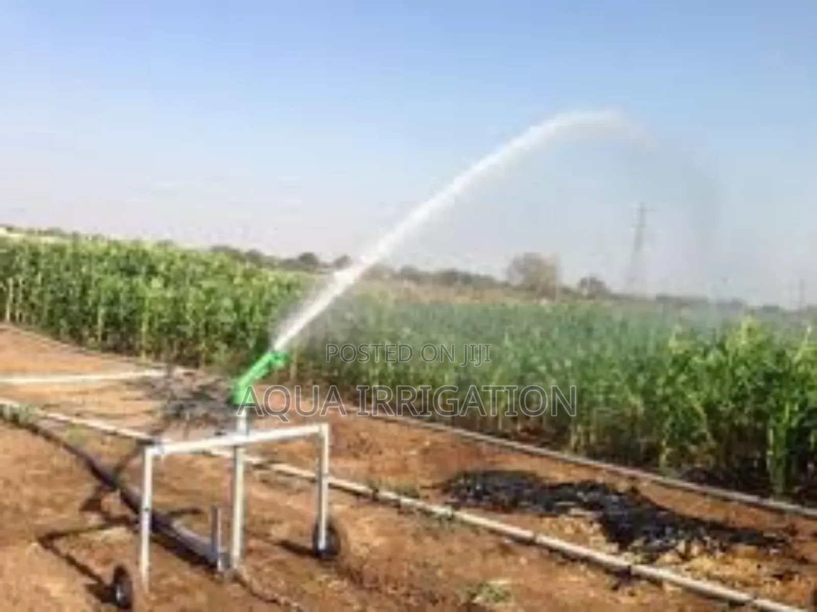 Comparing Rainguns vs Traditional Irrigation System